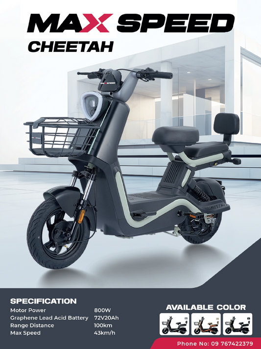 Max Speed's Cheetah E-Bike